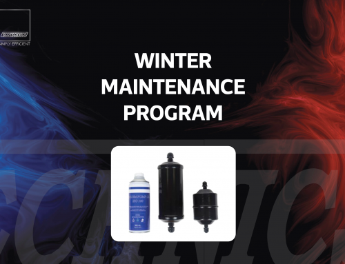 WINTER MAINTENANCE PROGRAM